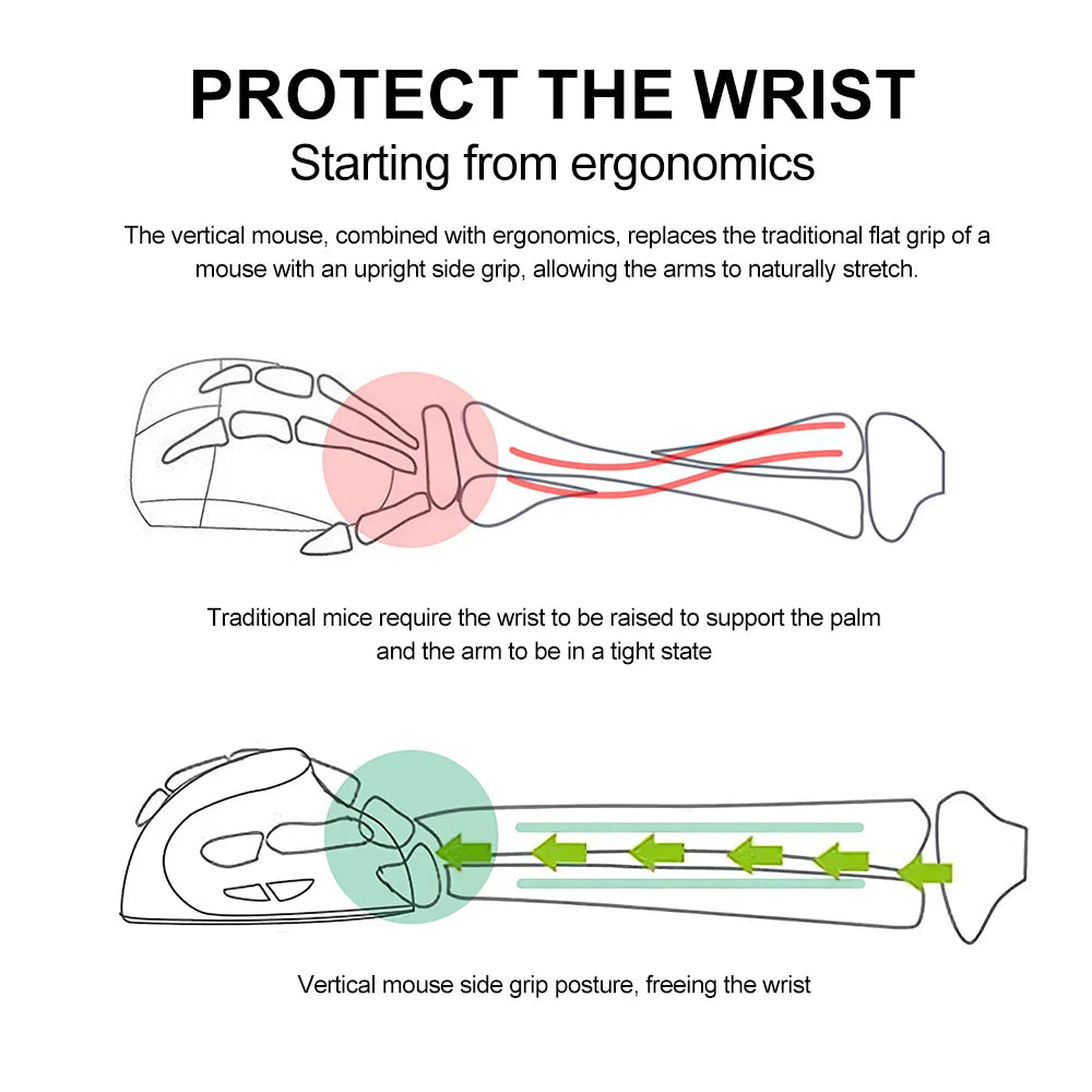 Ergonomic Vertical Mouse – Bluetooth & 2.4GHz Wireless